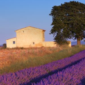 Provence