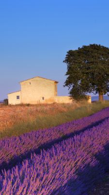 Provence