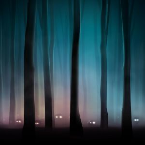 Kreatúry v nočnom lese