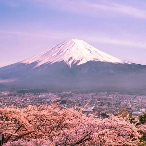 Sopka Fuji 