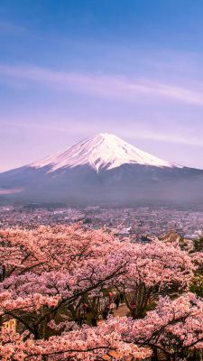 Sopka Fuji 